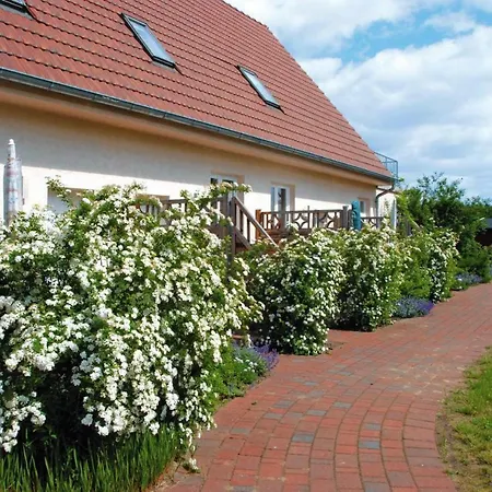 Vakantiehuis Muritzsee Buchholz - Dms02100-cye