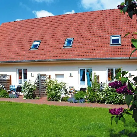 Vakantiehuis Muritzsee Buchholz - Dms02100-cye *
